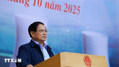 "Negotiating the construction of nuclear power plants in the spirit of harmonious interests"