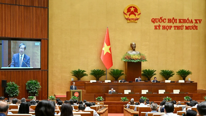 Press Release No. 3, 10th Session, 15th National Assembly