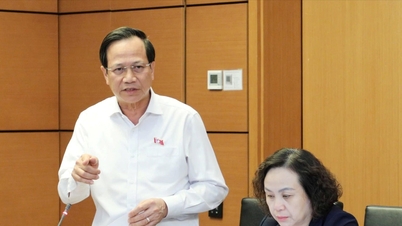 Cần cụ thể hóa tư tưởng về tự chủ trong giáo dục đại học