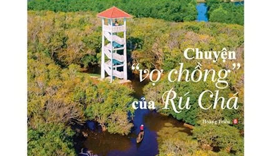 Vă rugăm să citiți Hue Today Weekend nr. 43, publicat pe 23 octombrie.