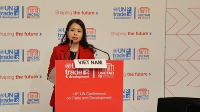 El viceministro de Relaciones Exteriores, Nguyen Minh Hang, propuso promover una transformación económica sostenible.