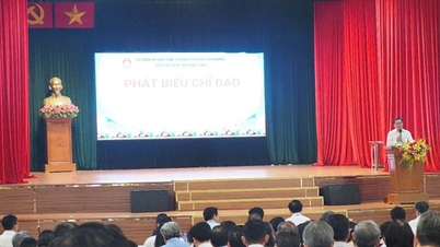 TP HCM: Không để tâm lý bất bình khi trường chi thu nhập tăng thêm