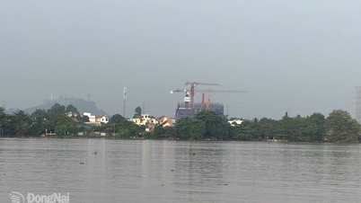 Es probable que la zona baja del río Dong Nai se inunde debido a las mareas altas.