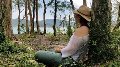 Aprende de los japoneses cómo “curar” con el bosque