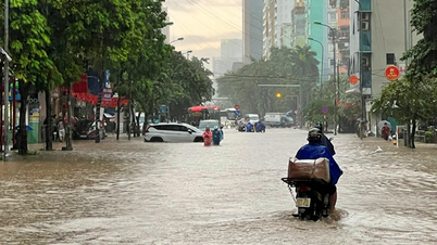 Artikel akhir: Pelaksanaan segera penyelesaian segerak untuk mengelakkan banjir