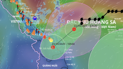 La tormenta Fengshen se debilitó a depresión tropical y entró esta mañana en Hue - Quang Ngai
