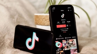 Los usuarios no siguen en absoluto estos vídeos en TikTok