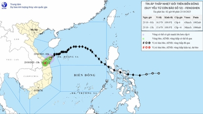 Badai No. 12 melemah, menuju daratan Da Nang hingga Quang Ngai