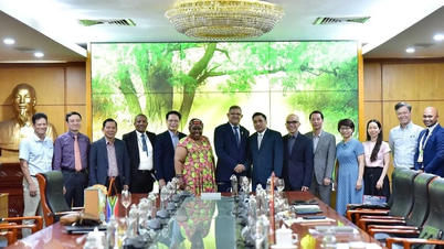 Amener les relations Vietnam-Afrique du Sud dans une nouvelle phase
