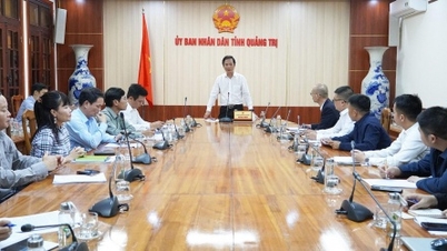 क्वांग ट्राई में 1,600 बिलियन वीएनडी ठोस अपशिष्ट भस्मीकरण विद्युत संयंत्र परियोजना का प्रस्ताव