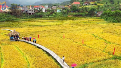 Quang Ninh : promouvoir l'identité culturelle des habitants des hautes terres