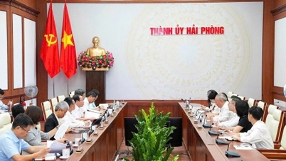 Tập đoàn Xây dựng Thái Bình Dương (Trung Quốc) thúc đẩy hợp tác đầu tư tại Hải Phòng, Quảng Ninh