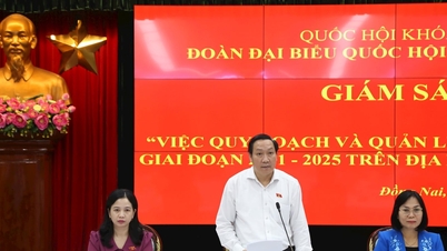 Plus de 400 pétitions d'électeurs de Dong Nai ont été transmises aux autorités compétentes pour examen.
