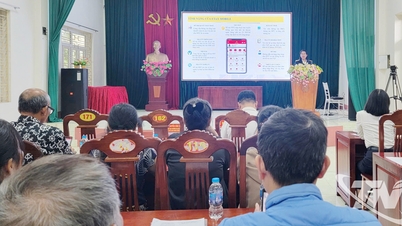 Tich Luong: Wdrażanie aplikacji eTax Mobile do elektronicznego rozliczania podatków