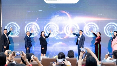 Software gratuito para 'apoyar' a 2 millones de empresas a eliminar el impuesto global