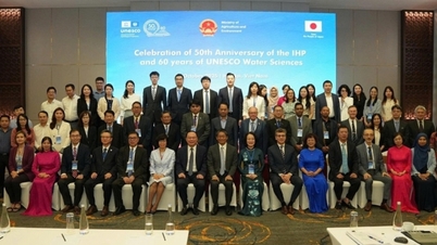 Vietnam enfatiza la cooperación multilateral para la seguridad hídrica