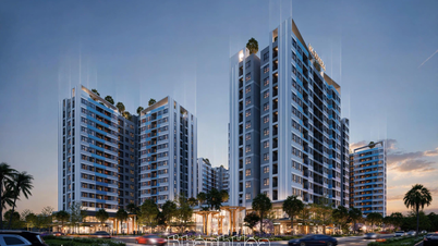 Genehmigung des Investors für das Sozialwohnungsprojekt CT-02 im Stadtgebiet An Binh Tan