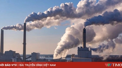 Las empresas realizan de forma proactiva inventarios de gases de efecto invernadero