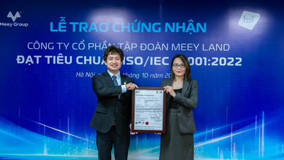 Meey Group получила сертификат ISO/IEC на систему управления информационной безопасностью