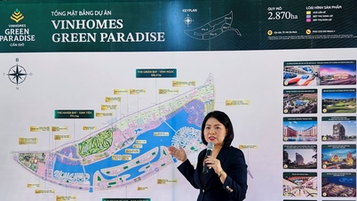 New ecological symbol of coastal urban areas in Vietnam and the region