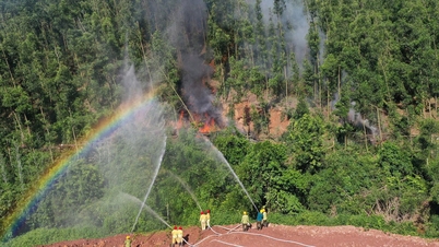 Bac Ninh: Hohes Waldbrandrisiko, Gemeinden reagieren proaktiv