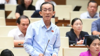 "Xem phá sản như một hành vi kinh tế, giống vòng đời sinh, lão, bệnh, tử"