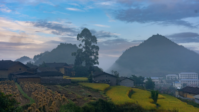 Høst i verdens beste turistlandsby i Vietnam