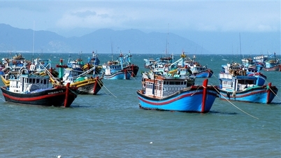 Vietnam trapper opp kampen mot UUU-fiske, fremmer menneskerettigheter og sprer nasjonal kultur