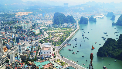Quang Ninh: Streben nach Aufstieg und Durchsetzung der Position