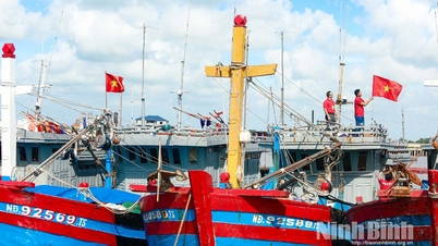 Ninh Binh konzentriert sich auf die Umsetzung des „Spitzenmonats gegen IUU-Fischerei und nachhaltige Entwicklung der Fischereiindustrie“