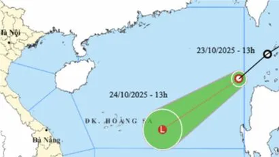熱帯低気圧が北東海域に侵入しました。