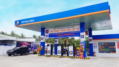 Petrolimex điều chỉnh giá xăng dầu từ 15 giờ 00 phút ngày 23.10.2025