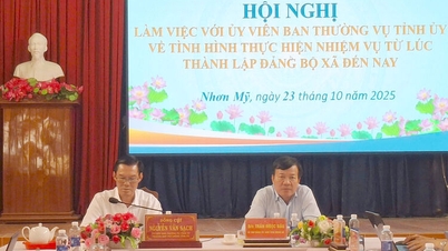 Head of An Giang Provincial Party Committee's Internal Affairs Committee works with Nhon My Commune Party Committee
