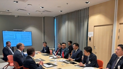Petrovietnam promovează cooperarea energetică cu corporațiile finlandeze