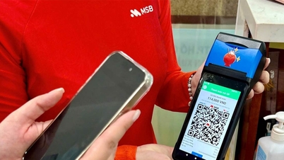 MSB применяет цифровые технологии в сфере здравоохранения, повышая эффективность управления больничными расходами