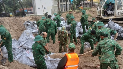 Đà Nẵng khẩn trương ứng cứu bờ biển An Bàng bị sạt lở nghiêm trọng