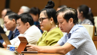 기업과 예금자의 이익을 보호합니다