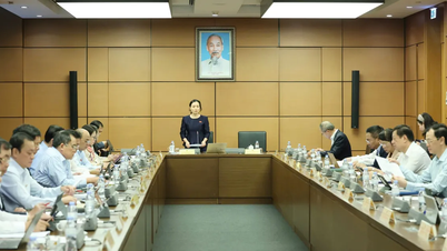 Propozycja pilotażu utworzenia kluczowej multimedialnej agencji prasowej w Ho Chi Minh City i Hanoi