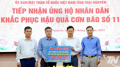 صوبہ Quang Ninh سیلاب کے نتائج پر قابو پانے کے لیے 5 بلین VND کے ساتھ تھائی نگوین صوبے کی مدد کرتا ہے۔