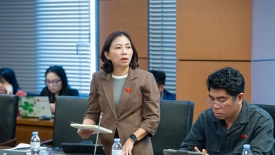 Delegado da Assembleia Nacional Hoang Thi Thu Hien (Nghe An): Aperfeiçoar os regulamentos para o desenvolvimento populacional sustentável