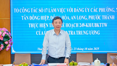 Trưởng Ban Tuyên giáo và Dân vận Thành ủy TPHCM: Ưu tiên đầu tư xây dựng trường lớp
