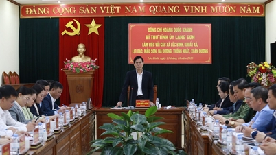 Der Provinzparteisekretär arbeitete mit Gemeinden des ehemaligen Bezirks Loc Binh zusammen.