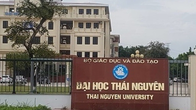 Két orvosi egyetem egyesítése két egyetemmé