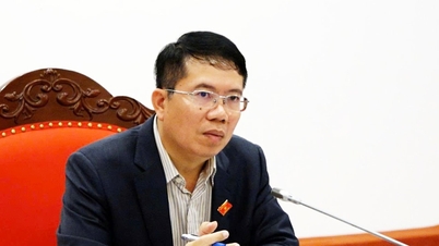 Implementación de tareas en el marco del Proyecto para celebrar el 80º aniversario de las primeras elecciones generales para elegir la Asamblea Nacional de Vietnam