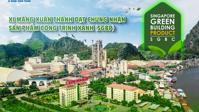 Cementos Xuan Thanh obtuvo la certificación de Producto de Construcción Ecológica (SGBP)
