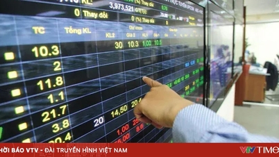 VN-Index approaches 1,700 points