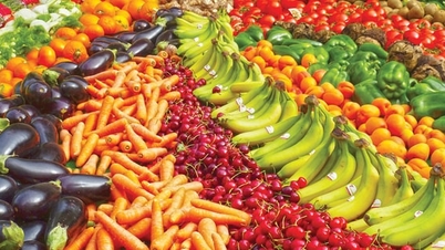 VCCI recomienda reconsiderar la imposición de un impuesto del 5% a los productos agrícolas semiprocesados