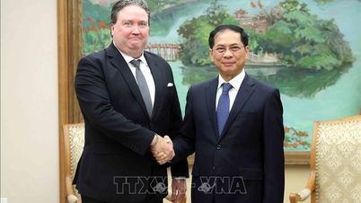 Deputy Prime Minister Bui Thanh Son receives US Ambassador