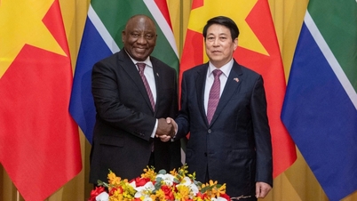 Le président Luong Cuong s'entretient avec le président sud-africain Cyril Ramaphosa