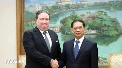 Le vice-Premier ministre Bui Thanh Son a reçu l'ambassadeur des États-Unis Marc E. Knapper